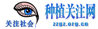 种植关注网
